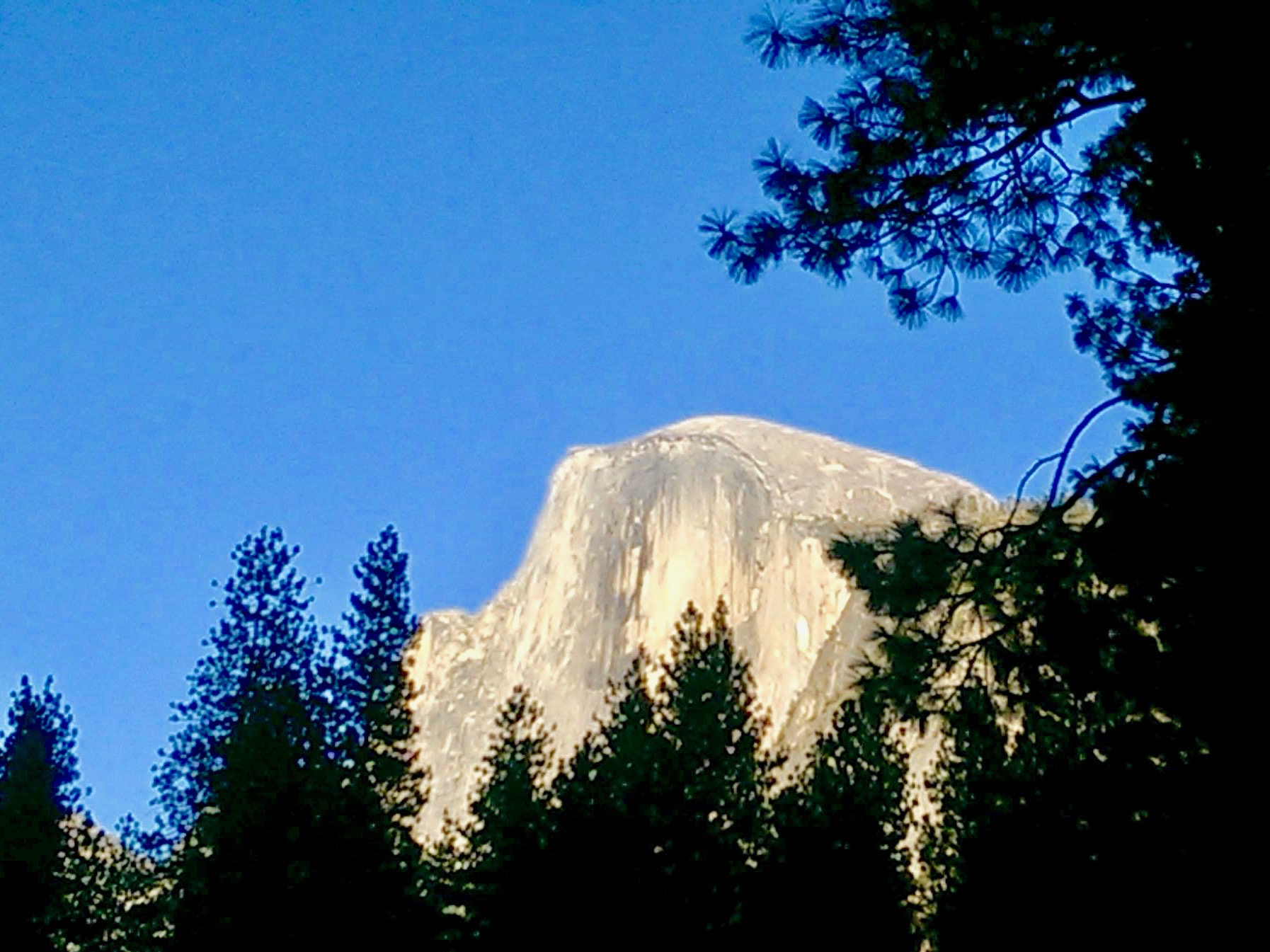 Halfdome